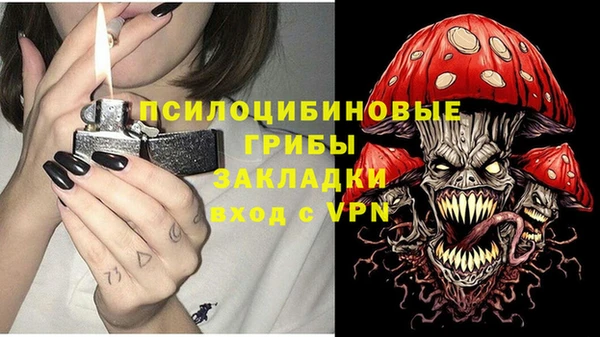 ГАЛЛЮЦИНОГЕННЫЕ ГРИБЫ Володарск