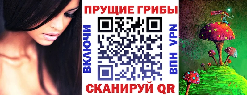 МЕГА онион Муром Псилоцибиновые грибы GOLDEN TEACHER купить наркотики цена